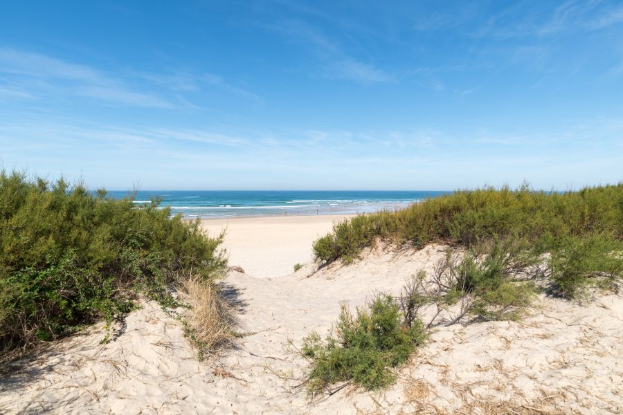 Espace de bien-être dans les Landes